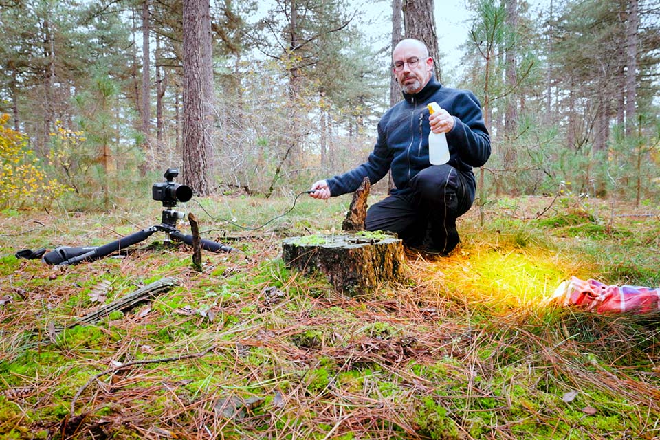 Nando screencapture photographing mushroom 2 Nando screencapture photographing mushroom 2