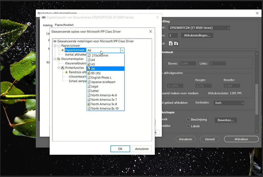 Nando screenshot epson et8500 printer settings