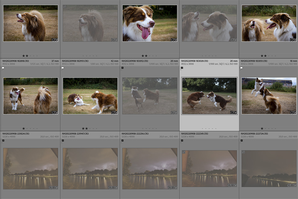 Nando selecting in Lightroom Nando selecting in Lightroom