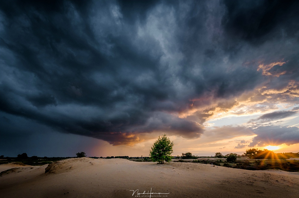 Photographing in bad weather