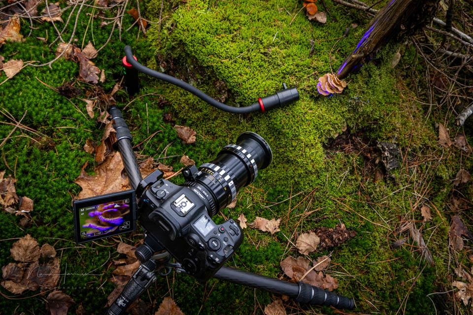 Nando SmallRig RM3 review 22