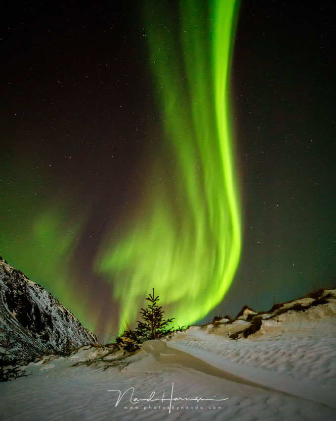 Nando snow northern lights