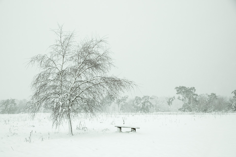 Nando snow tips 01