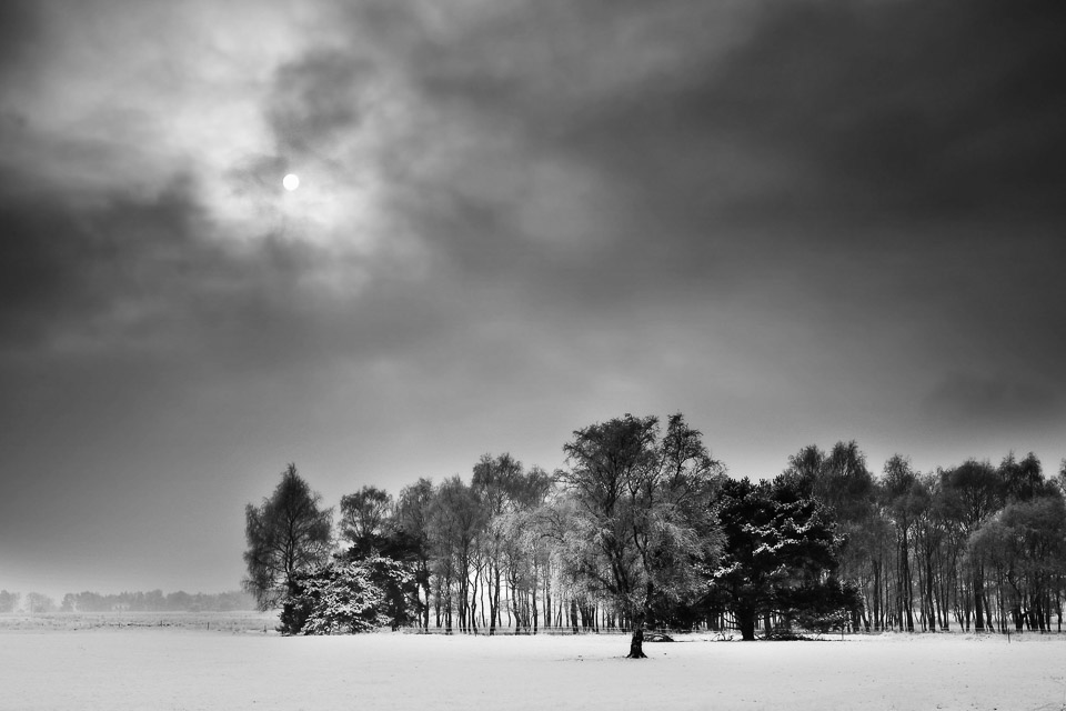 Nando snowy landscape black and white Nando snowy landscape black and white