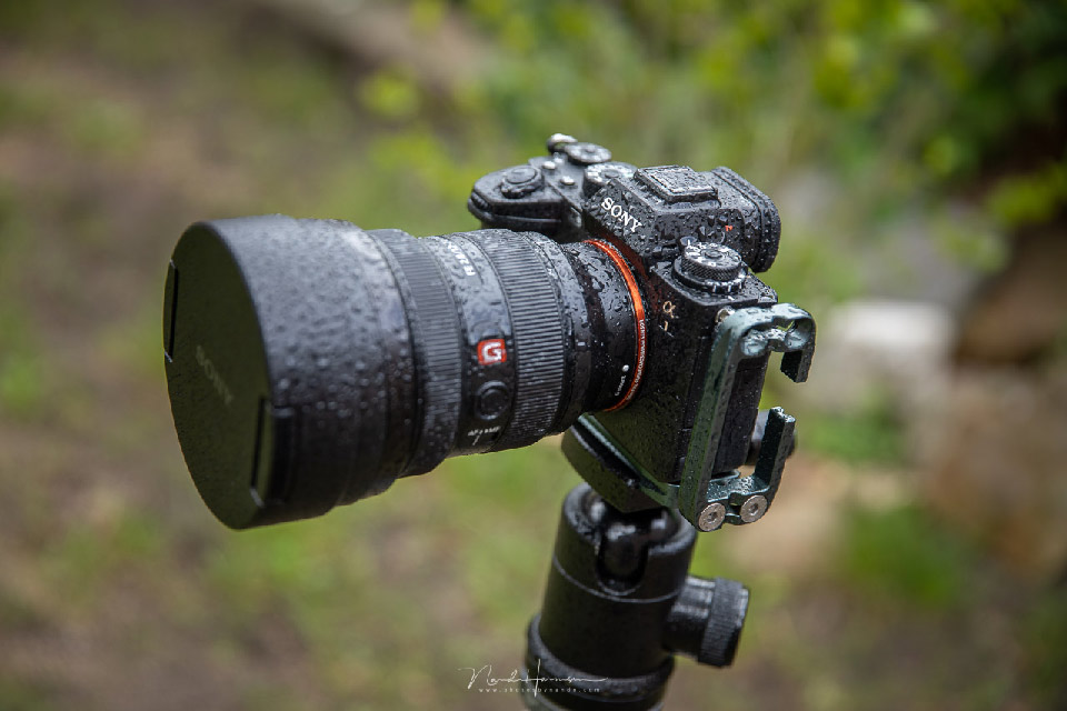 Nando Sony A1 wet