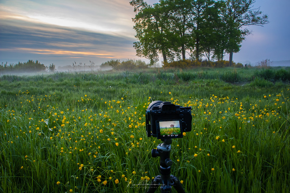 Nando Sony A1 camera in the field Nando Sony A1 camera in the field