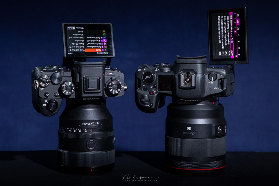 Nando Sony A1 Canon EOS R5 difference Nando Sony A1 Canon EOS R5 difference