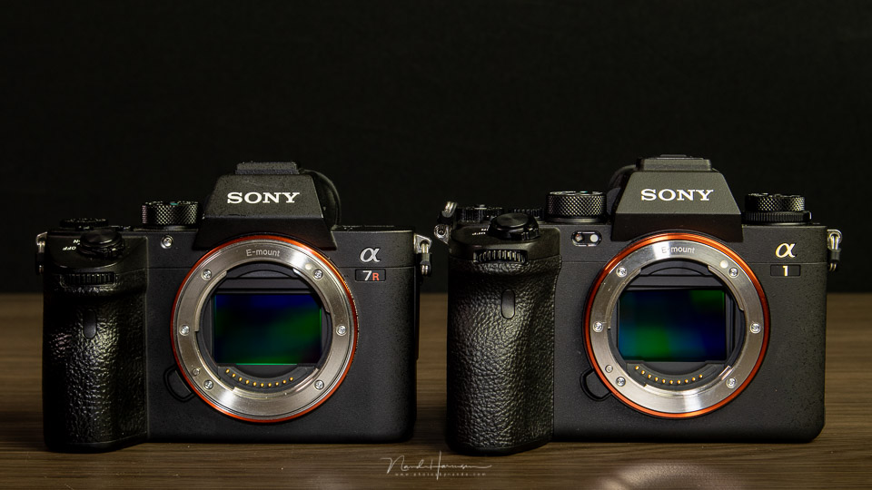 Nando Sony A1 Sony A7R2 Nando Sony A1 Sony A7R2