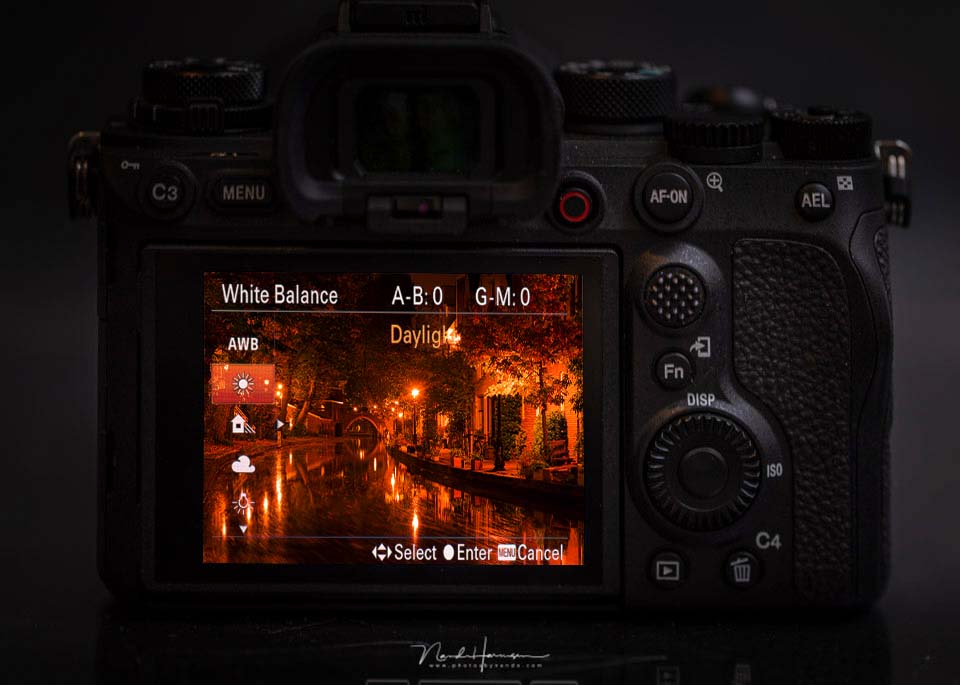 Nando Sony A1 white balance