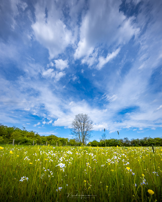 Nando Sony A1 cloud landscape Nando Sony A1 cloud landscape