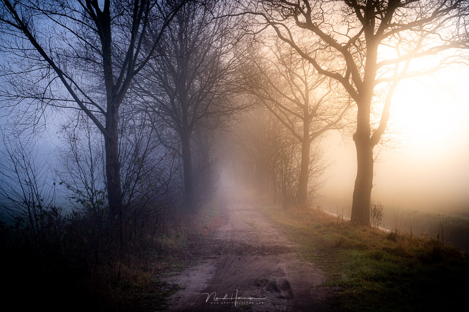 Nando - Sony a7iv landscape Nando - Sony a7iv landscape