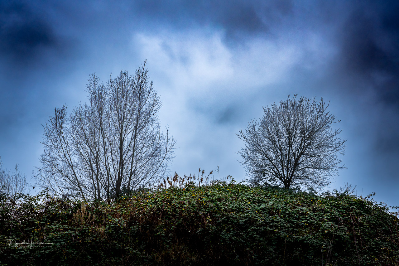 Nando Sony A7 IV landscape 3 Nando Sony A7 IV landscape 3
