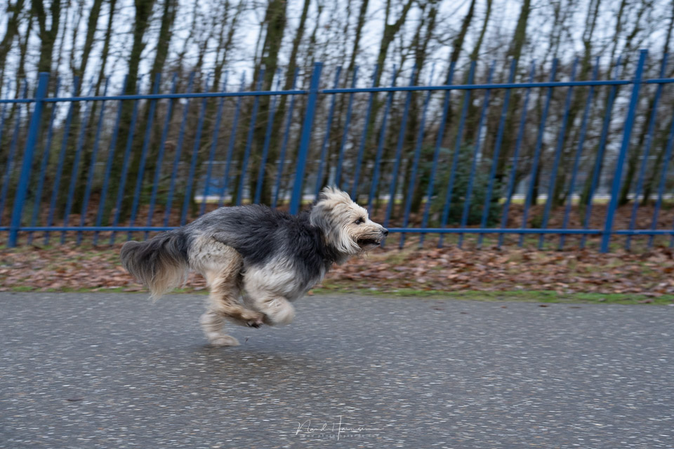 Nando Sony A7 IV electronic shutter