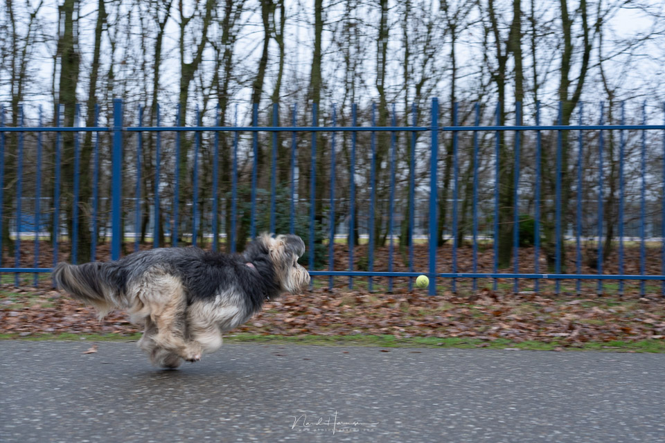 Nando Sony A7 IV mechanical shutter