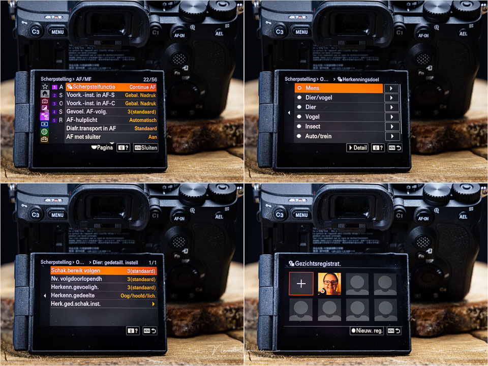 Nando sony a7rv autofocus menu