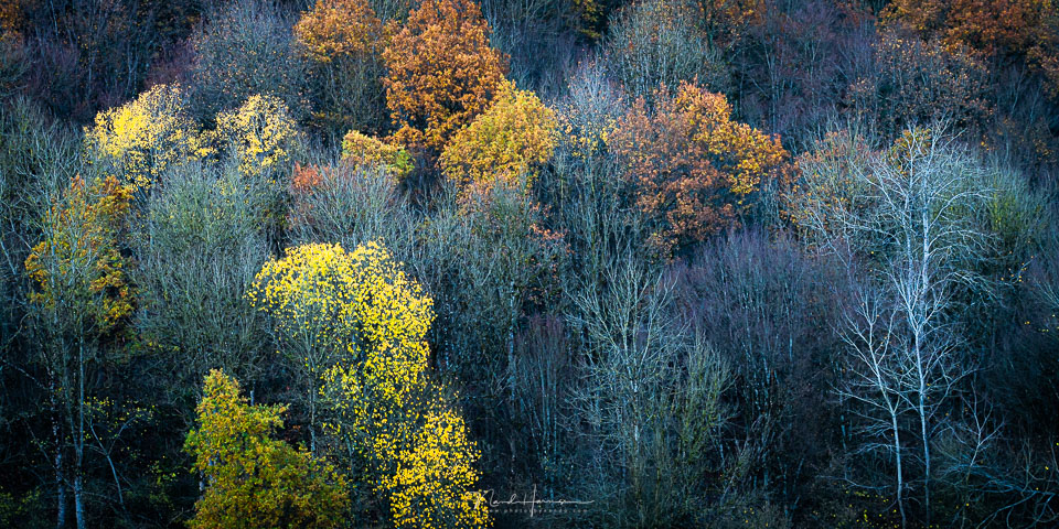Nando sony a7rv colours Nando sony a7rv colours