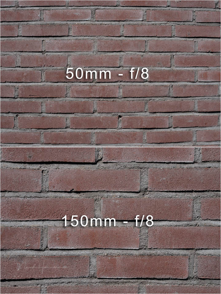Nando tests FE50 150GM 3