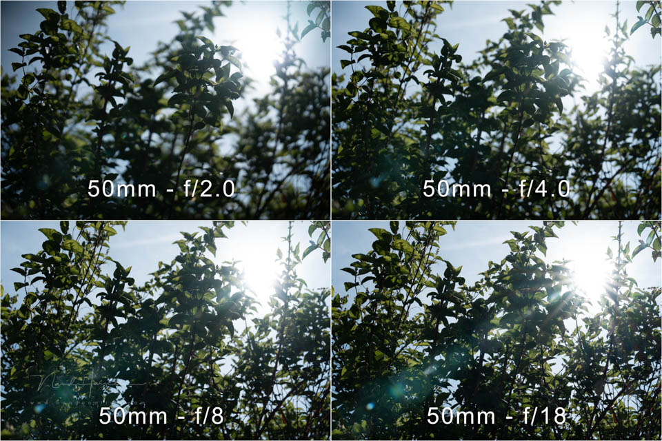 Nando tests FE50 150GM 4