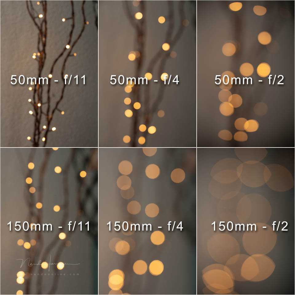 Nando tests FE50 150GM 5