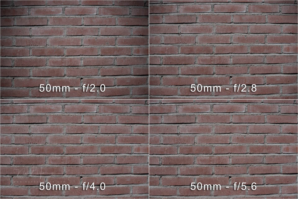 Nando tests FE50 150GM