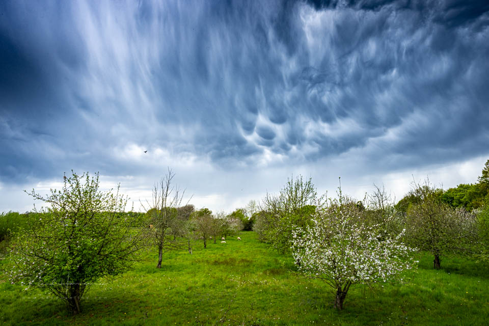 Nando clouds extremely harsh