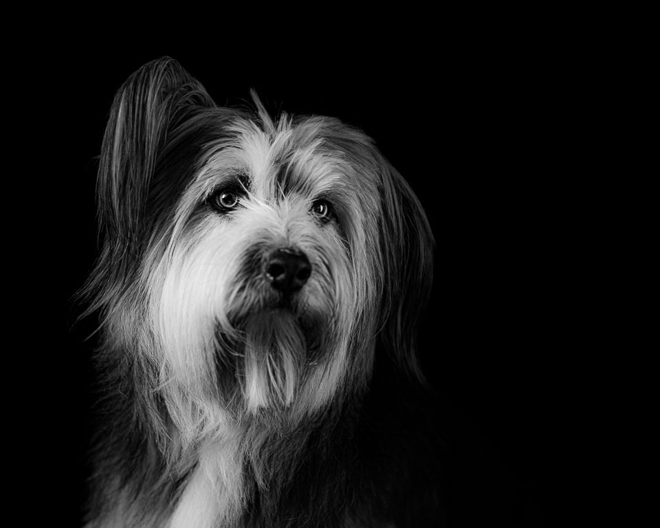 Nando b&w Bruc Nando b&w Bruc