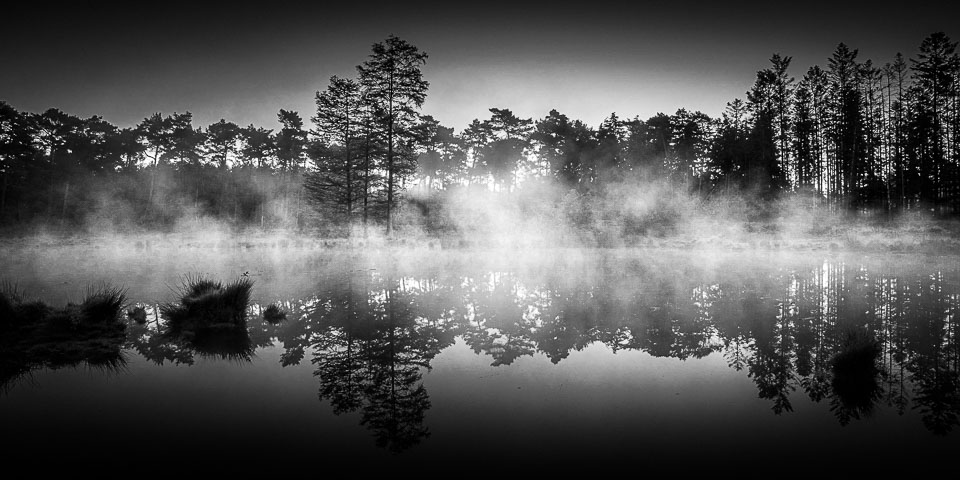 Nando b&w morning mist Nando b&w morning mist