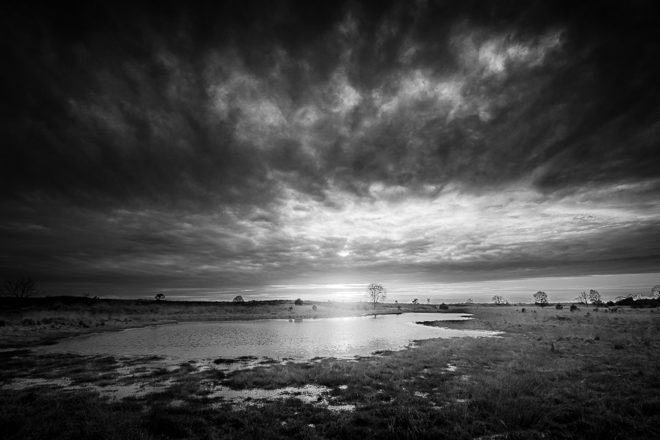 Nando sunset black and white Nando sunset black and white