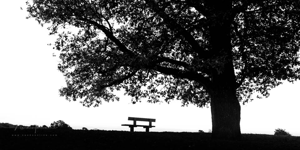 Nando black and white grey weather 3