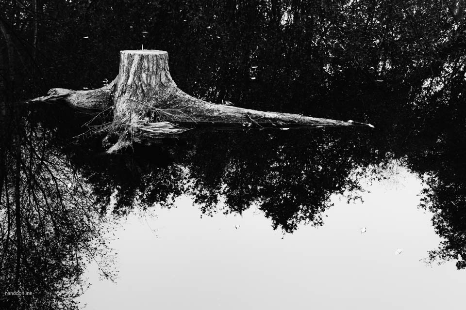 Nando black and white grey weather