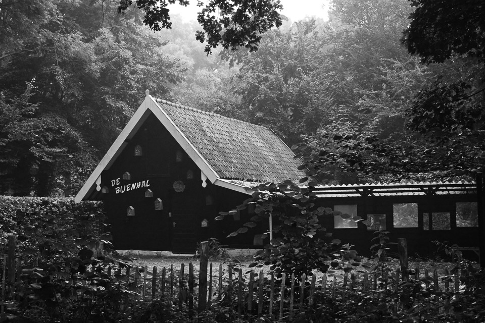 Nando black and white from the camera Nando black and white from the camera