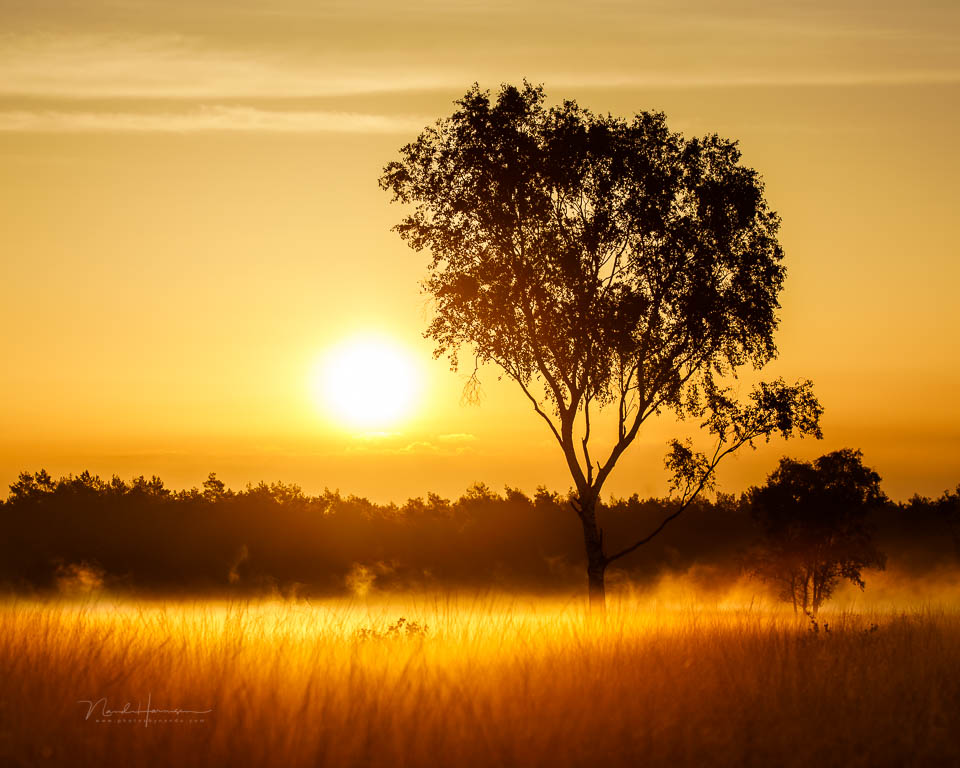 Nando 2017 sunrise contrast Nando 2017 sunrise contrast