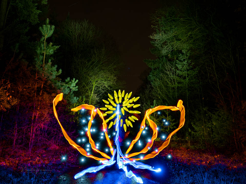 Nando 2024 actual light painting