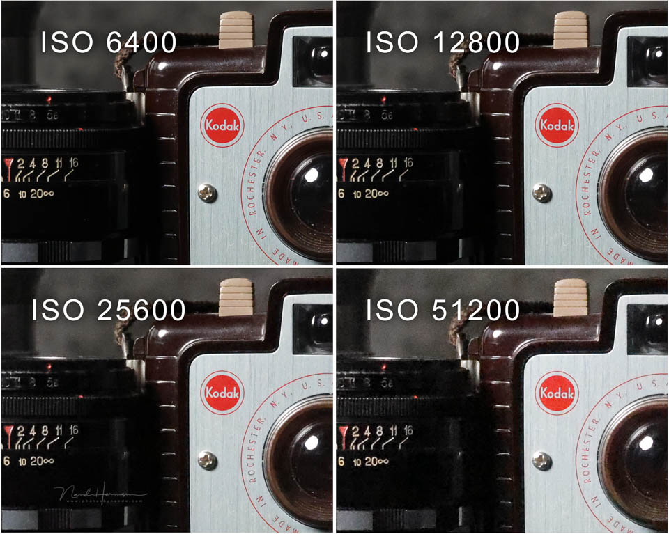 Nando Canon EOS R5m2 review 23