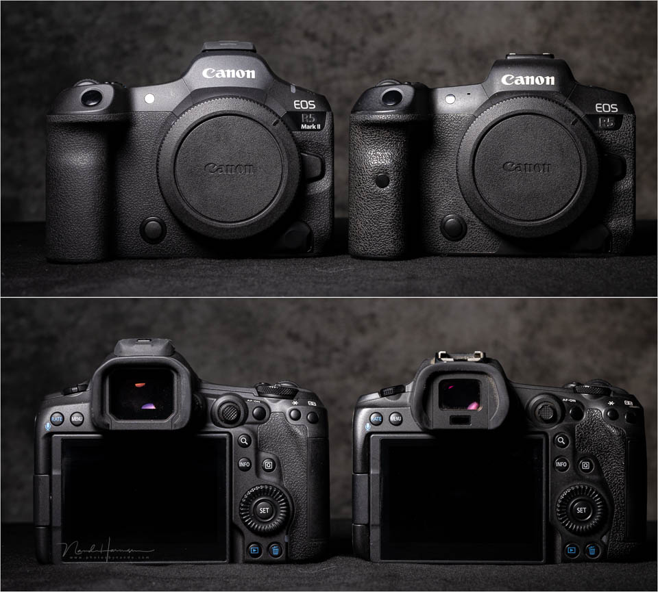Nando Canon EOS R5m2 review 28