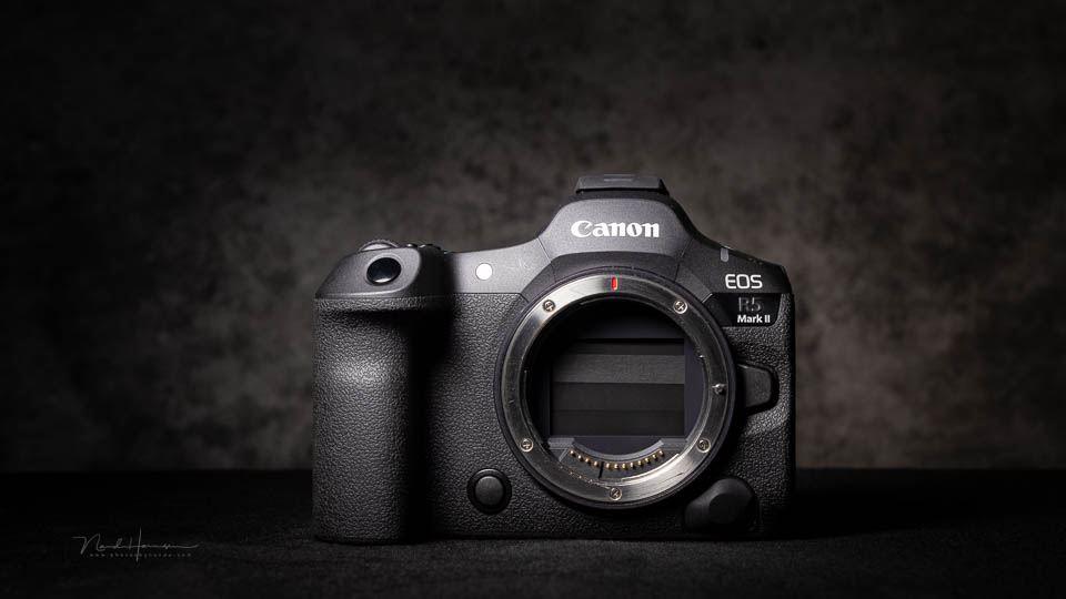 Nando Canon EOS R5m2 review 30