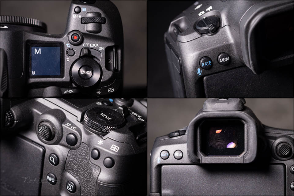 Nando Canon EOS R5m2 review 33
