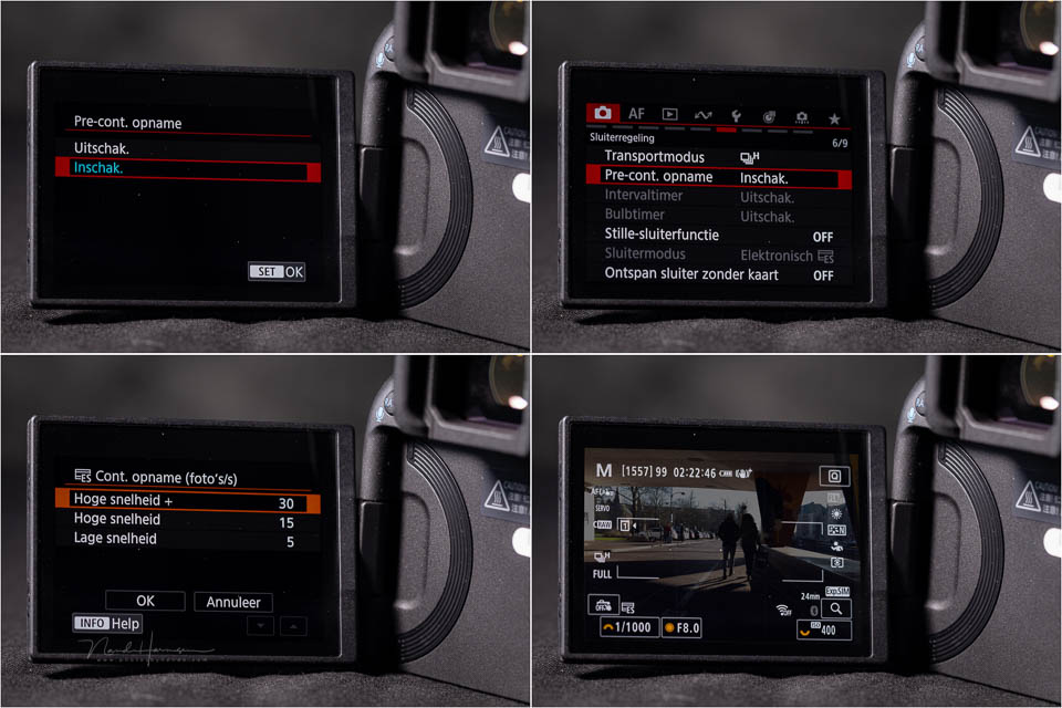 Nando Canon EOS R5m2 review 41
