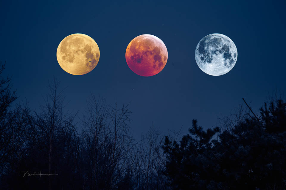 Nando collage moon colours
