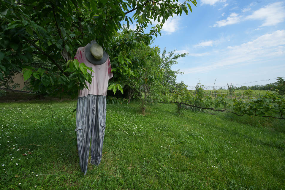 Nando FE16 25mm scarecrow JPEG Nando FE16 25mm scarecrow JPEG