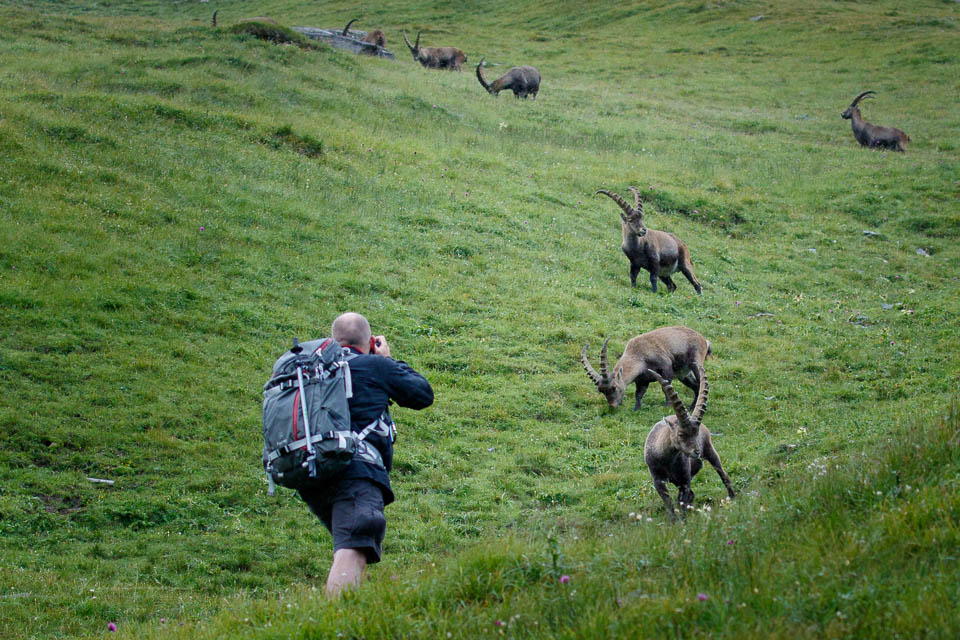 Nando camera backpack real backpack 2 Nando camera backpack real backpack 2