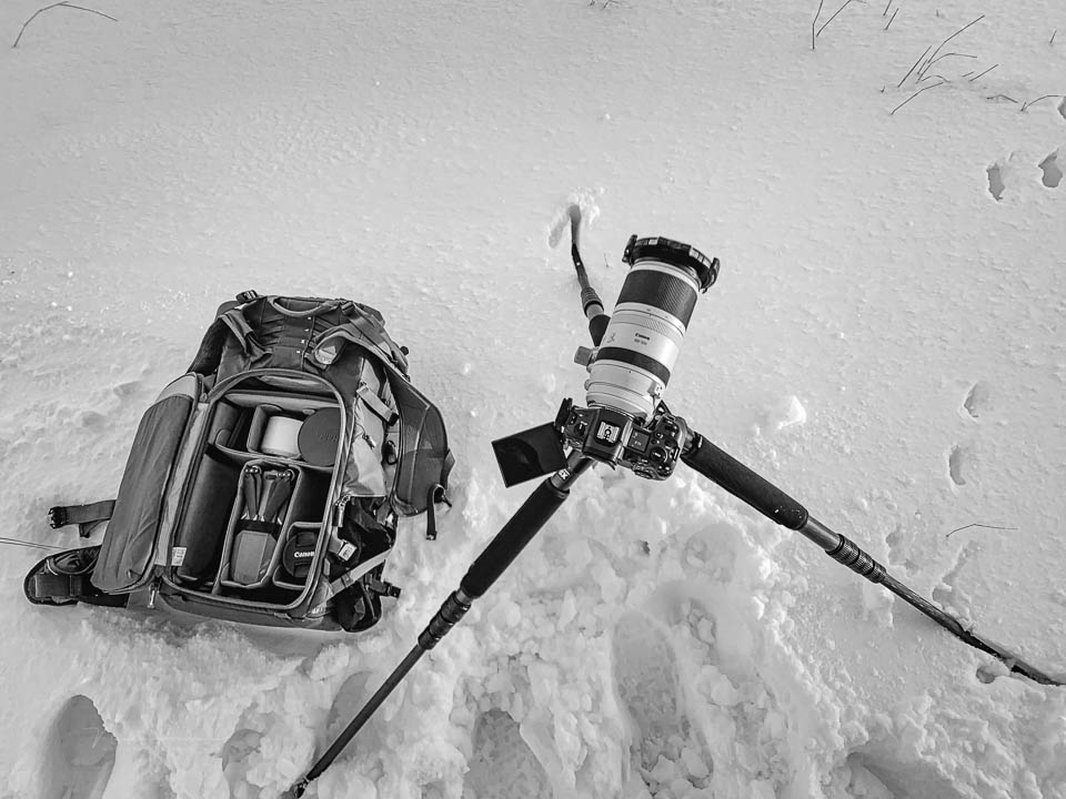 Nando camera backpack snow