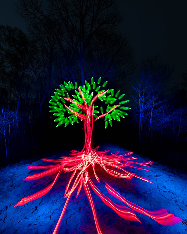 Nando light painting the tree 1