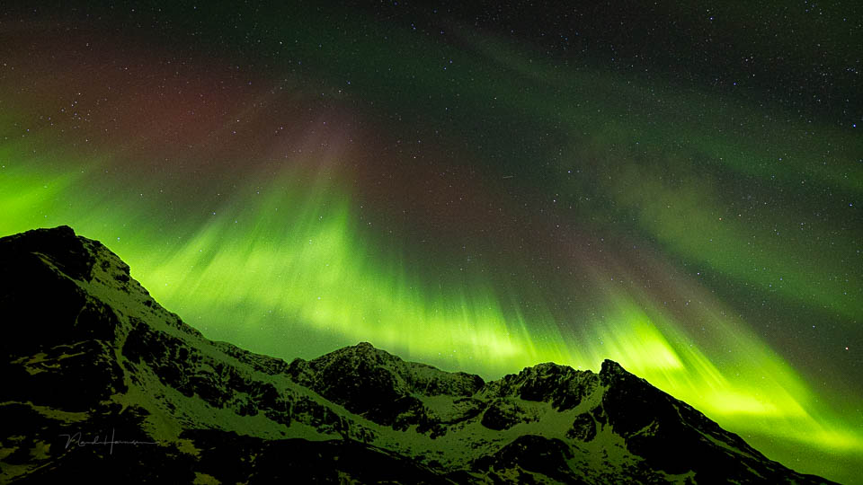 Nando Lofoten Norway 16 Nando Lofoten Norway 16