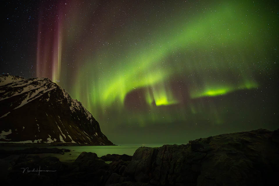Nando Lofoten Norway 3 Nando Lofoten Norway 3