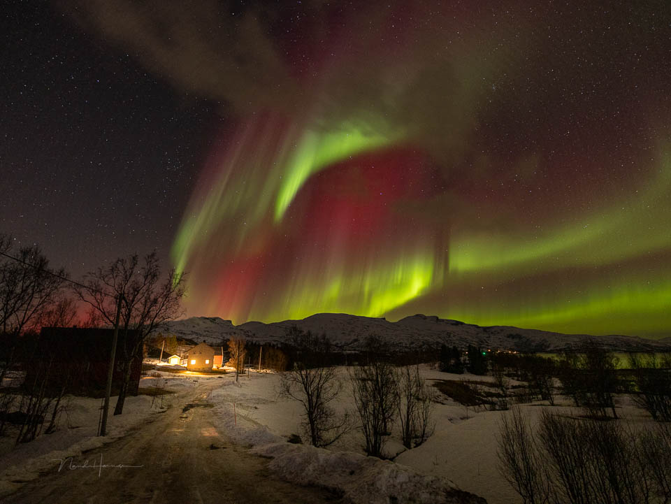 Nando Lofoten Norway Nando Lofoten Norway