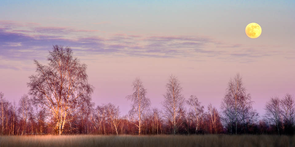 Nando moon on the horizon