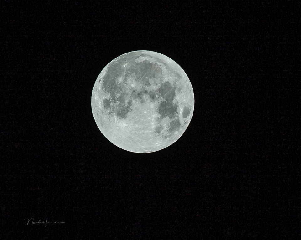 Nando full Moon 2015