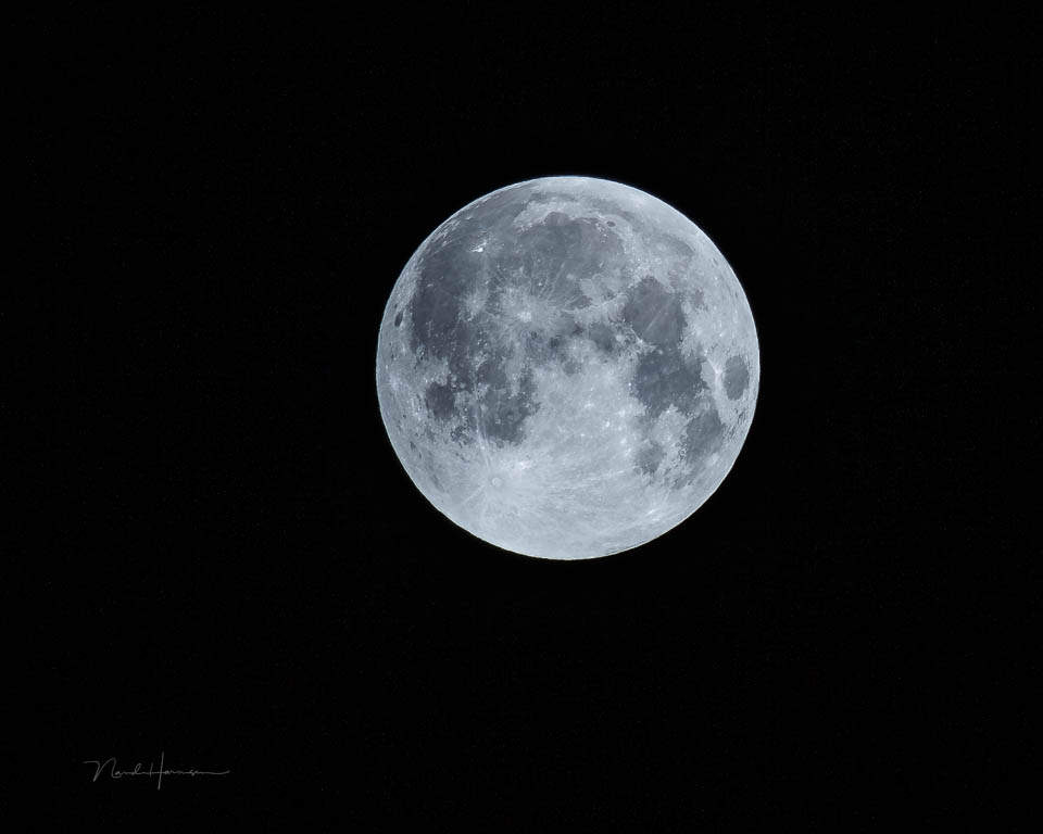 Nando full Moon 2019