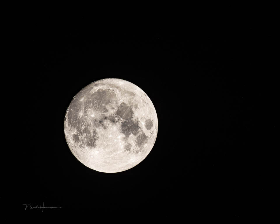 Nando full Moon 2022